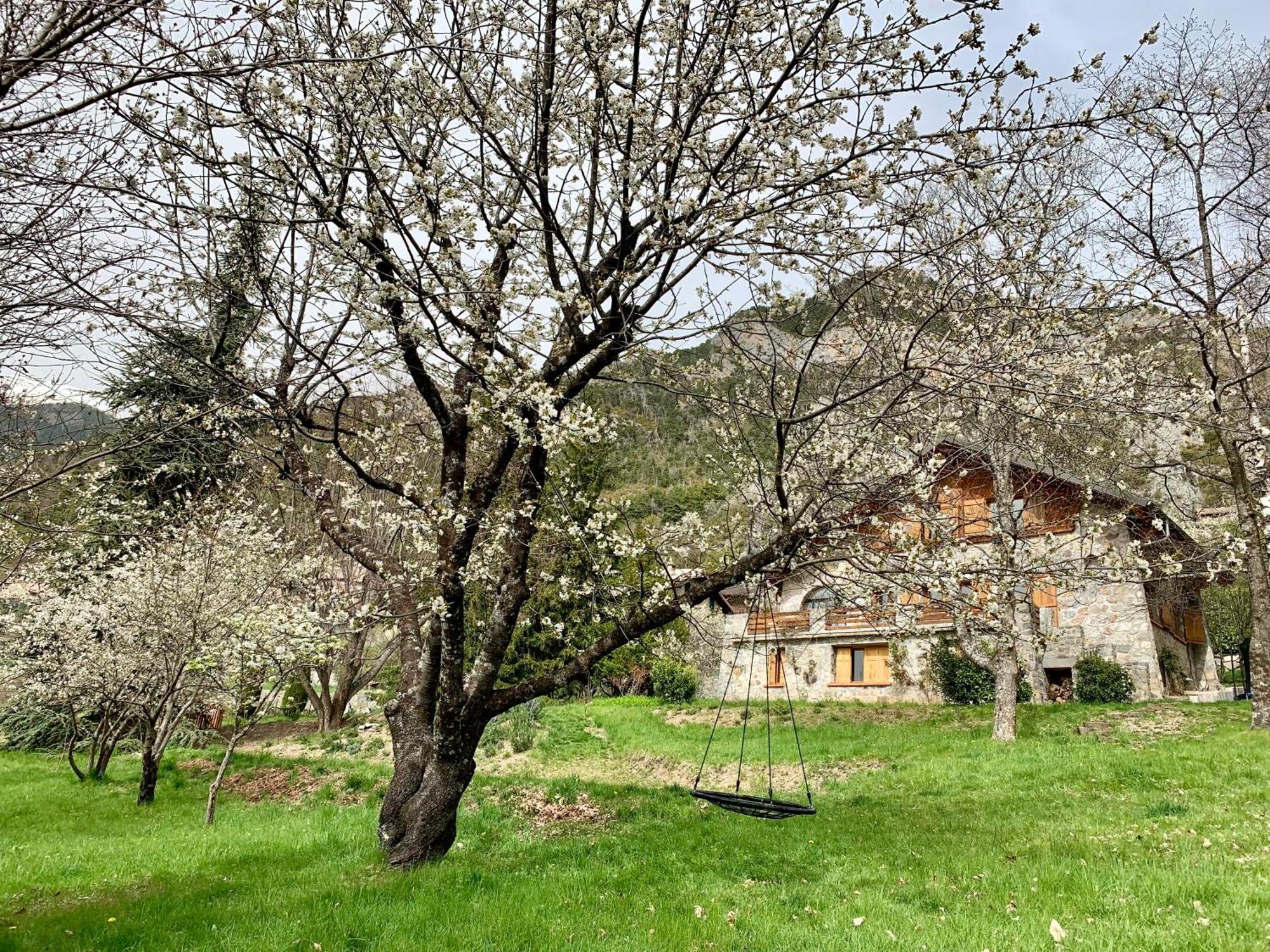 Chalet Le Tilleul Valdeblore Zewnętrze zdjęcie