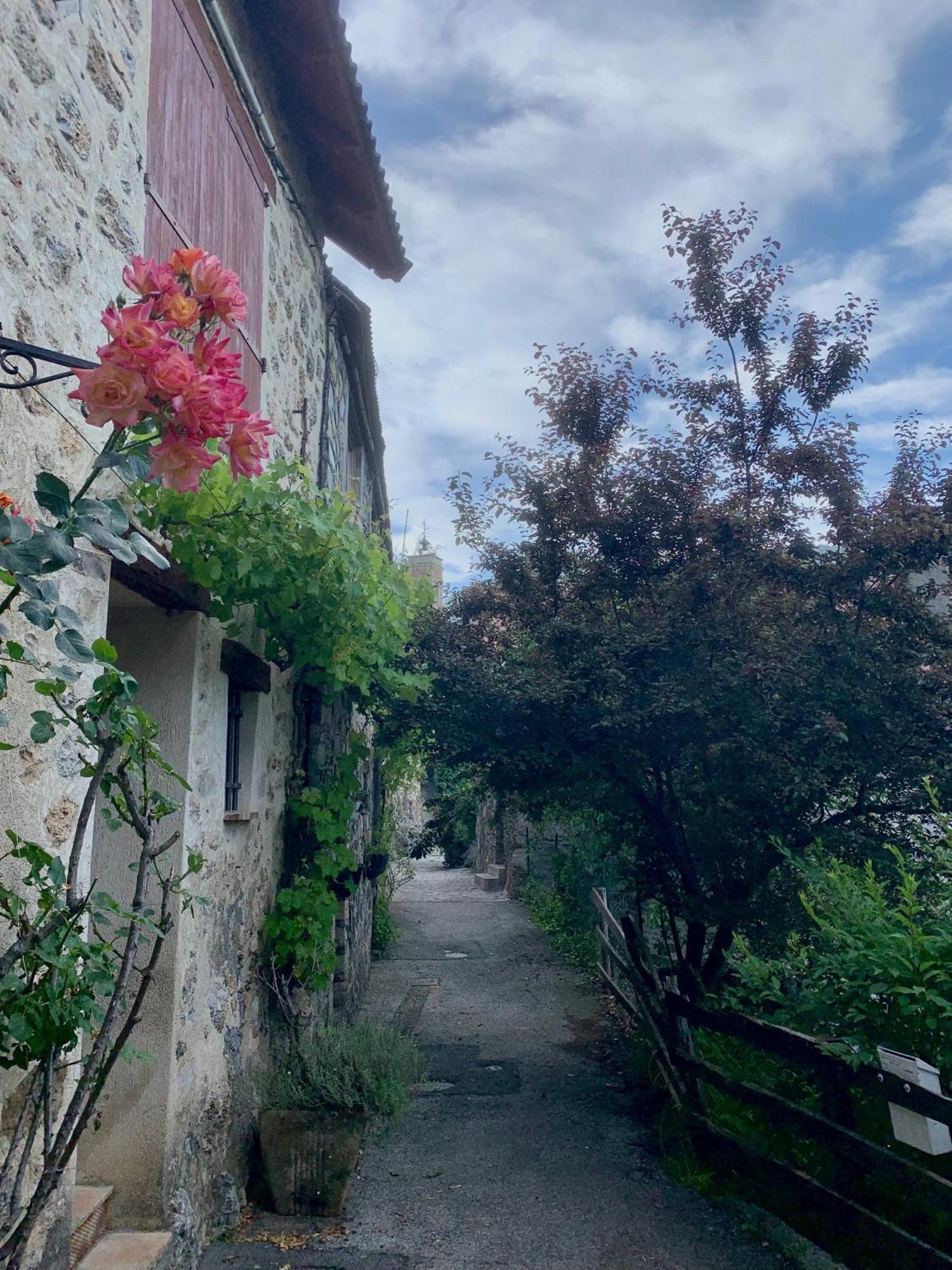 Chalet Le Tilleul Valdeblore Zewnętrze zdjęcie