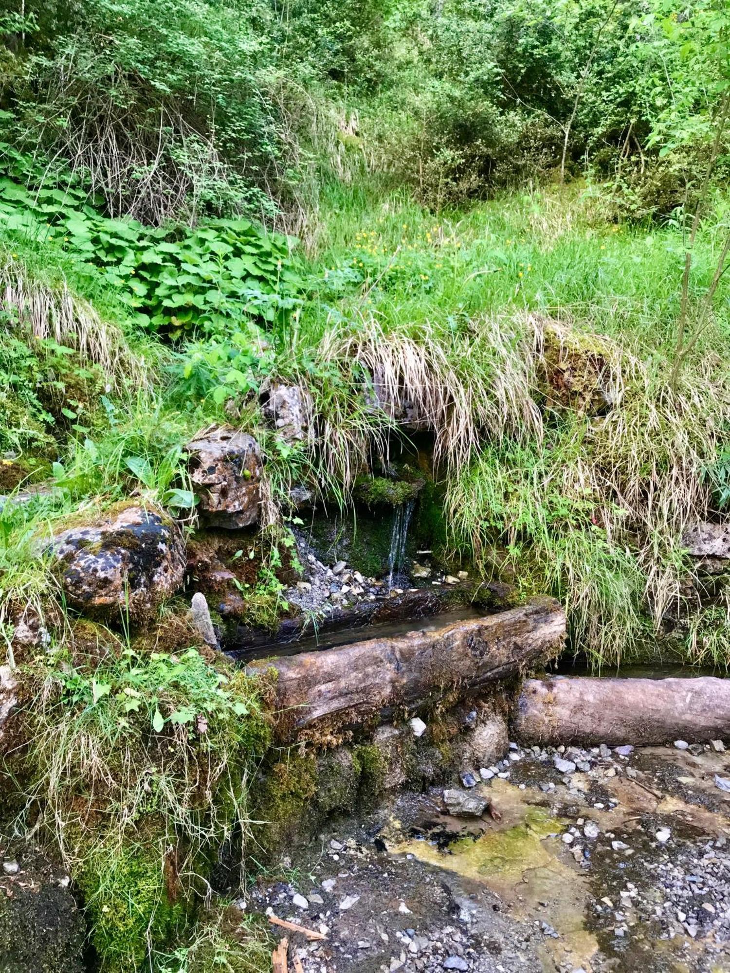 Chalet Le Tilleul Valdeblore Zewnętrze zdjęcie
